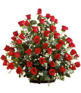 Canasta 48 Rosas Rojas | FloresparaFuneral.cl