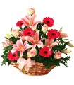 Canasta, 6 Rosas Rosadas, 6 Liliums Rosados, 6 Gerberas Rosadas