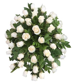 Cubre Urna 50 Rosas Blancas | FloresparaFuneral.cl