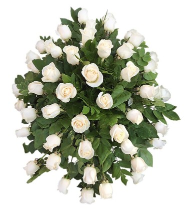 Cubre Urna 50 Rosas Blancas | FloresparaFuneral.cl
