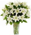 Florero 10 Liliums Blancos