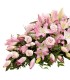 Cubre Urna, Rosas Rosadas, Liliums Rosados | FloresparaFuneral