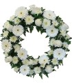 Corona, 9 Gerberas Blancas, 8 Rosas Blancas, Maules
