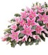 Cubre Urna 24 Liliums Rosados | FloresparaFuneral.cl