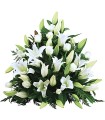 Canasta de Condolencias, 12 Rosas Blancas, 10 Liliums Blancos